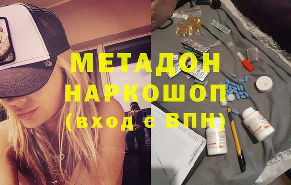 прущие грибы Александровское