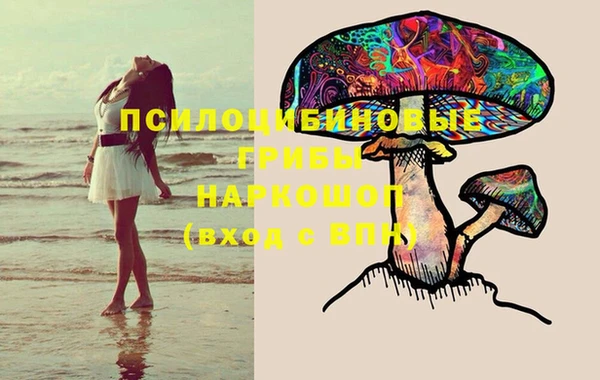 крисы Нефтекумск