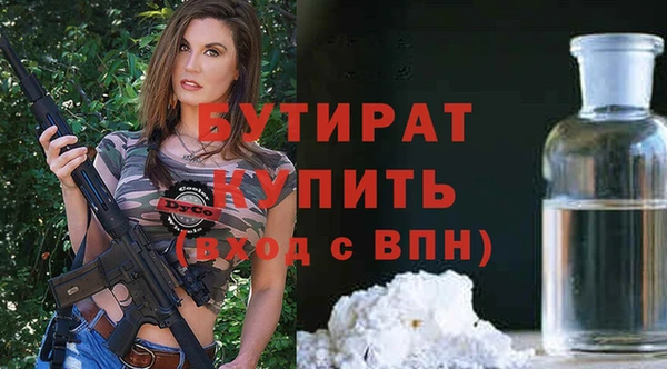 шишки Новодвинск