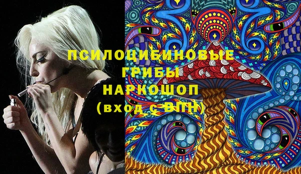 мдпв Нея