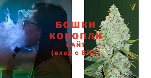 мдпв Нея