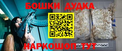 прущие грибы Апшеронск