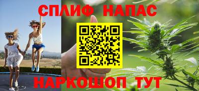 прущие грибы Апшеронск