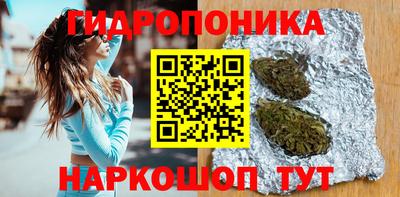 прущие грибы Апшеронск