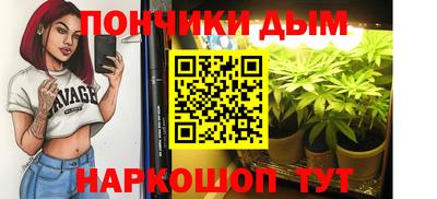 прущие грибы Апшеронск