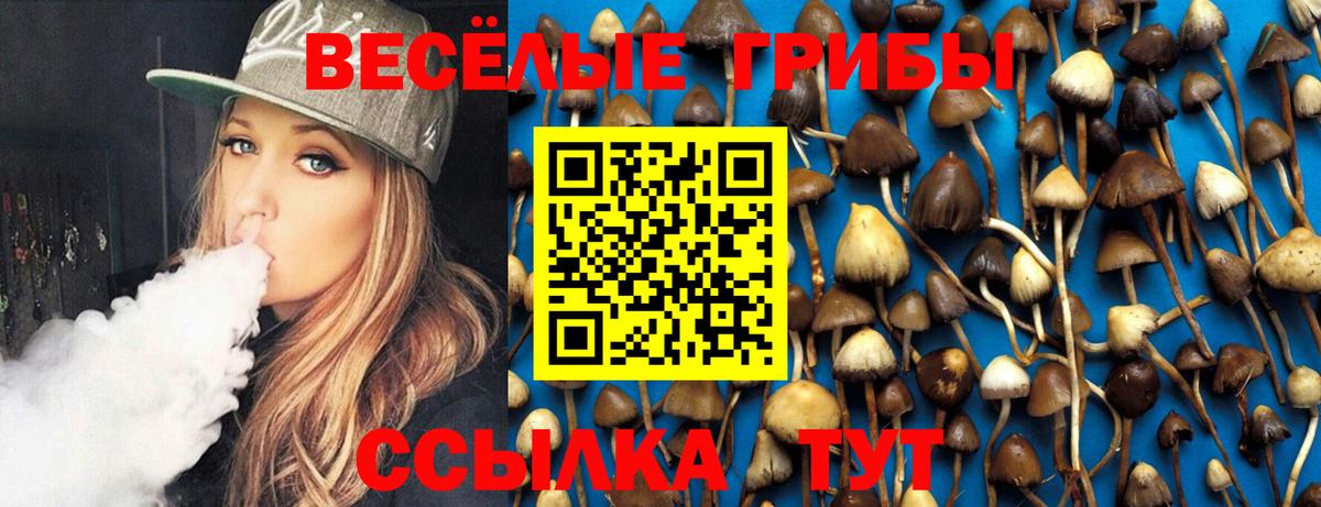 Галлюциногенные грибы ЛСД Апрелевка