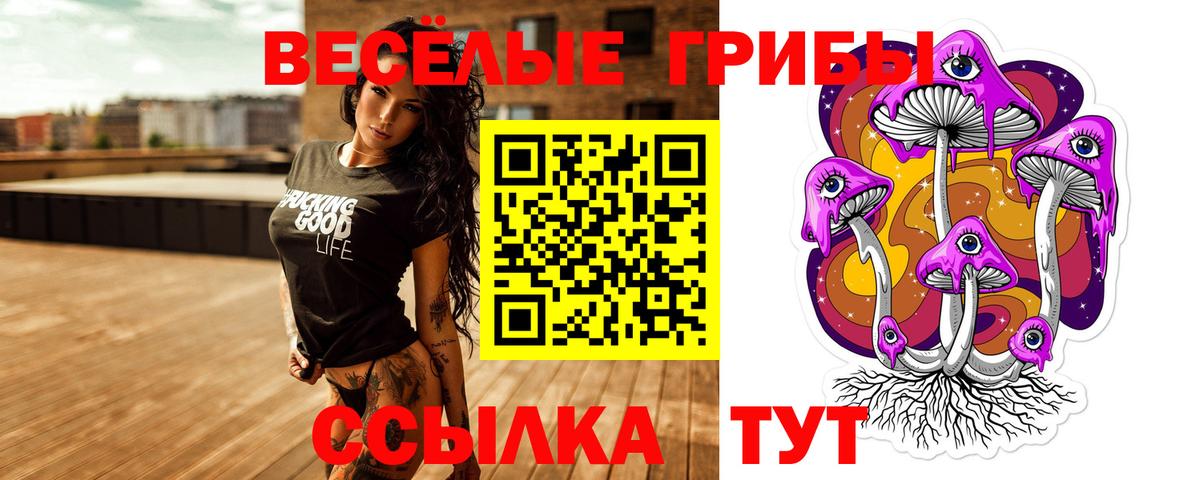 Псилоцибиновые грибы Psilocybe  Апрелевка  Галлюциногенные грибы мицелий 