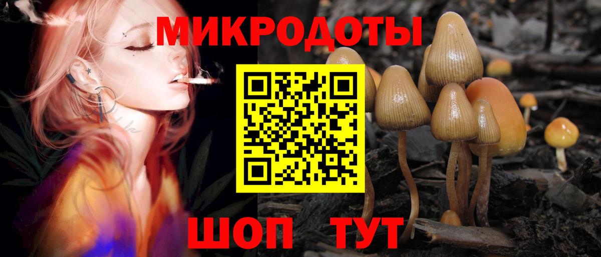 Псилоцибиновые грибы Cubensis  цены   Апрелевка  Вход с VPN 